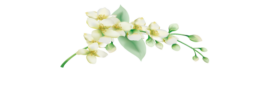 Chanida Massage & Spa